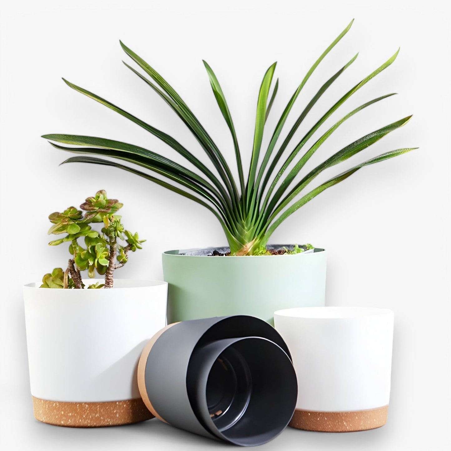 Amancio | Stilvolle Kunststoffblumentopf – mit Drainage für gesundes Wachstum