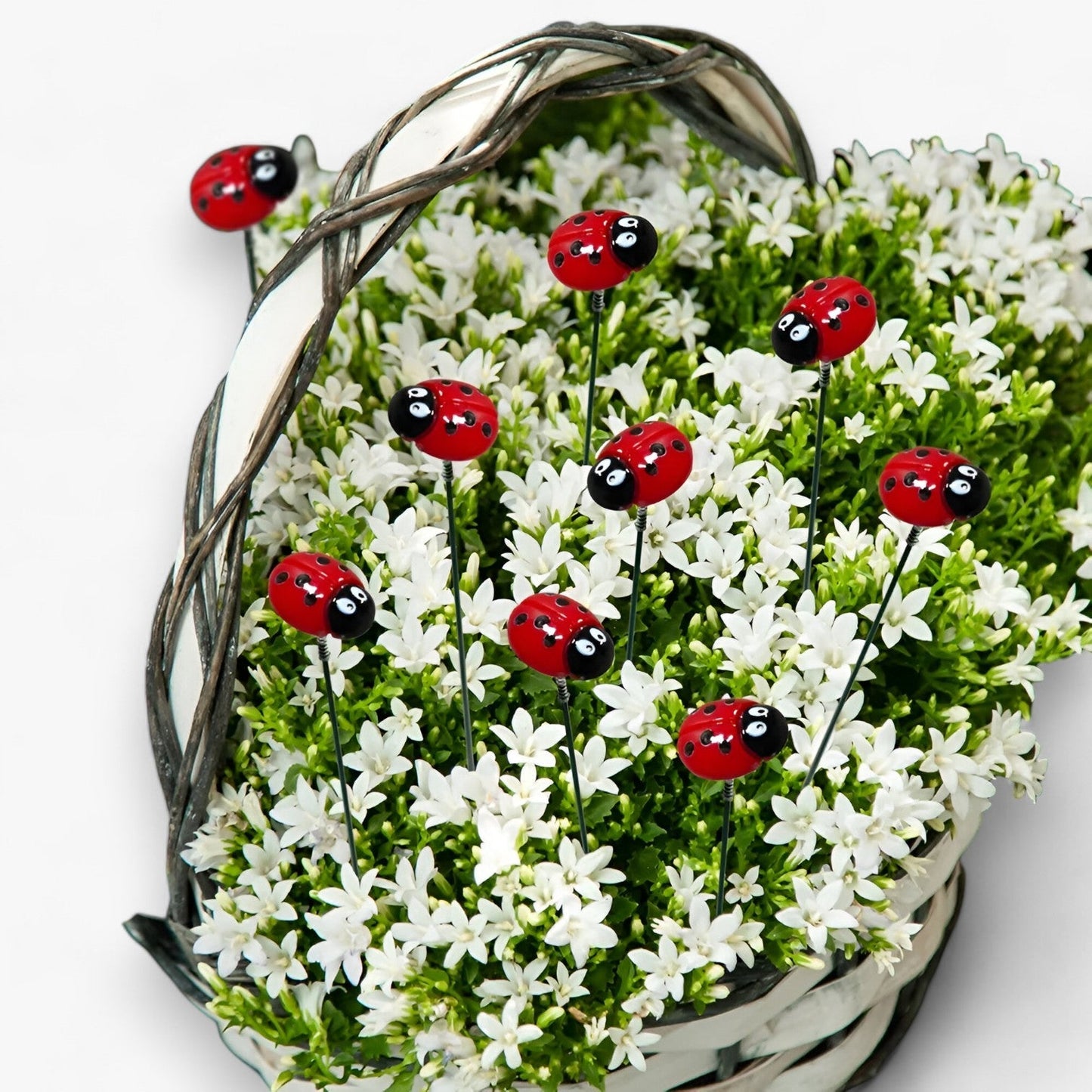 Bella | Marienkäfer Gartenstecker Set 10 Stück