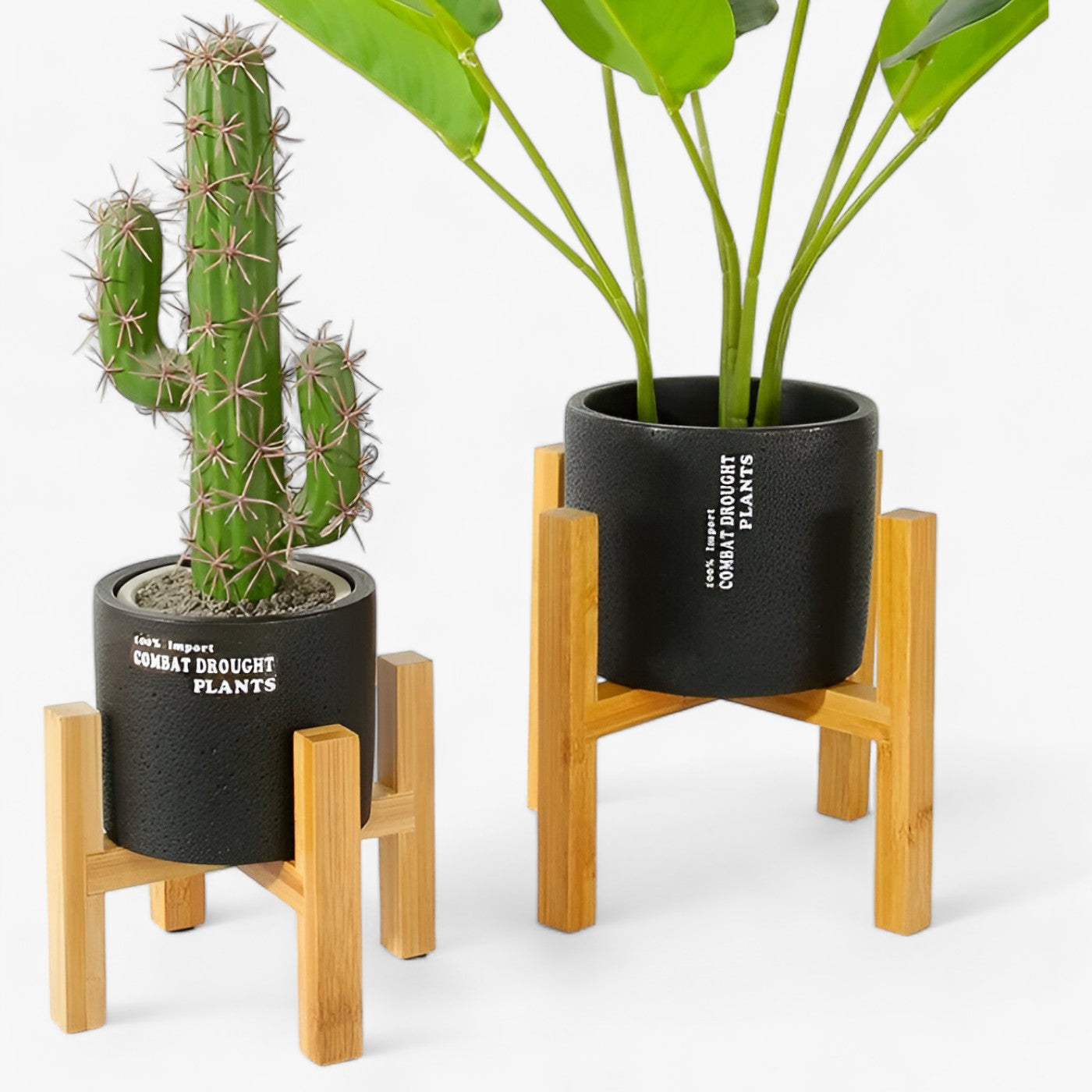 Bonsai-Glück | Holzpflanzenhalter - Beständige Eleganz