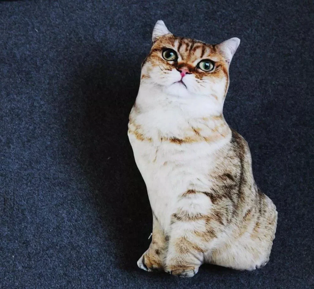 Realistisches Katzenkissen