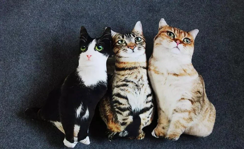 Realistisches Katzenkissen