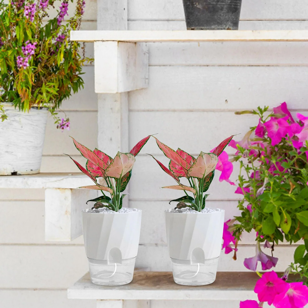 Selbstbewässernder Blumentopf