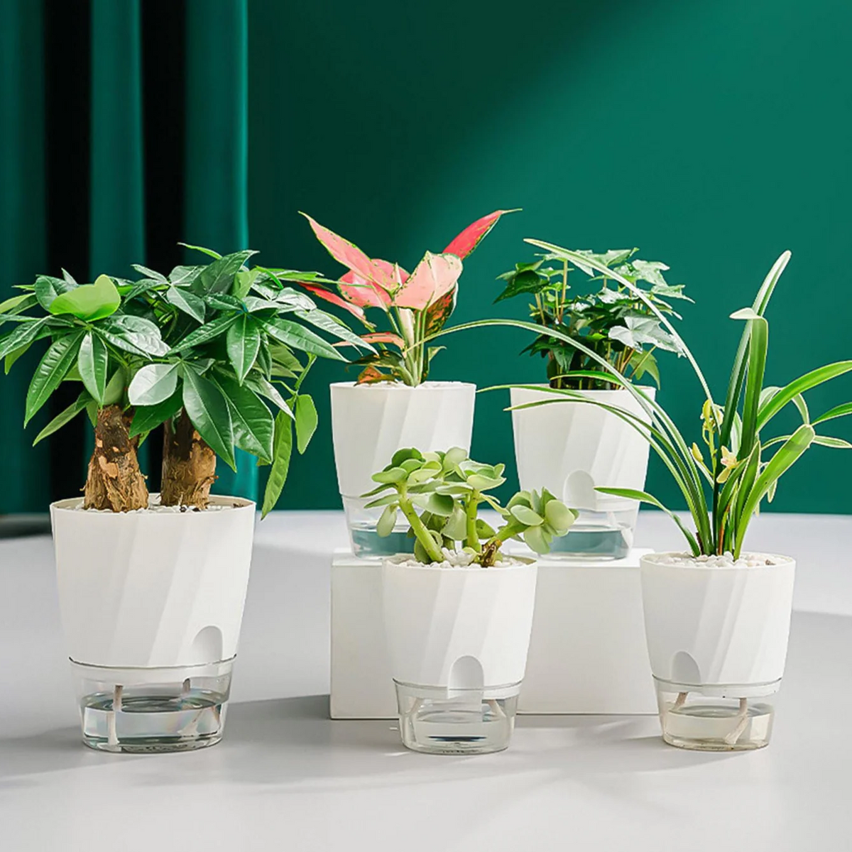 Selbstbewässernder Blumentopf