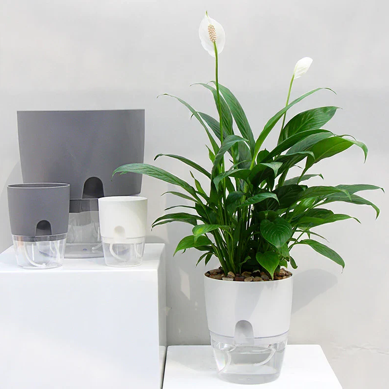 Selbstbewässernder Blumentopf