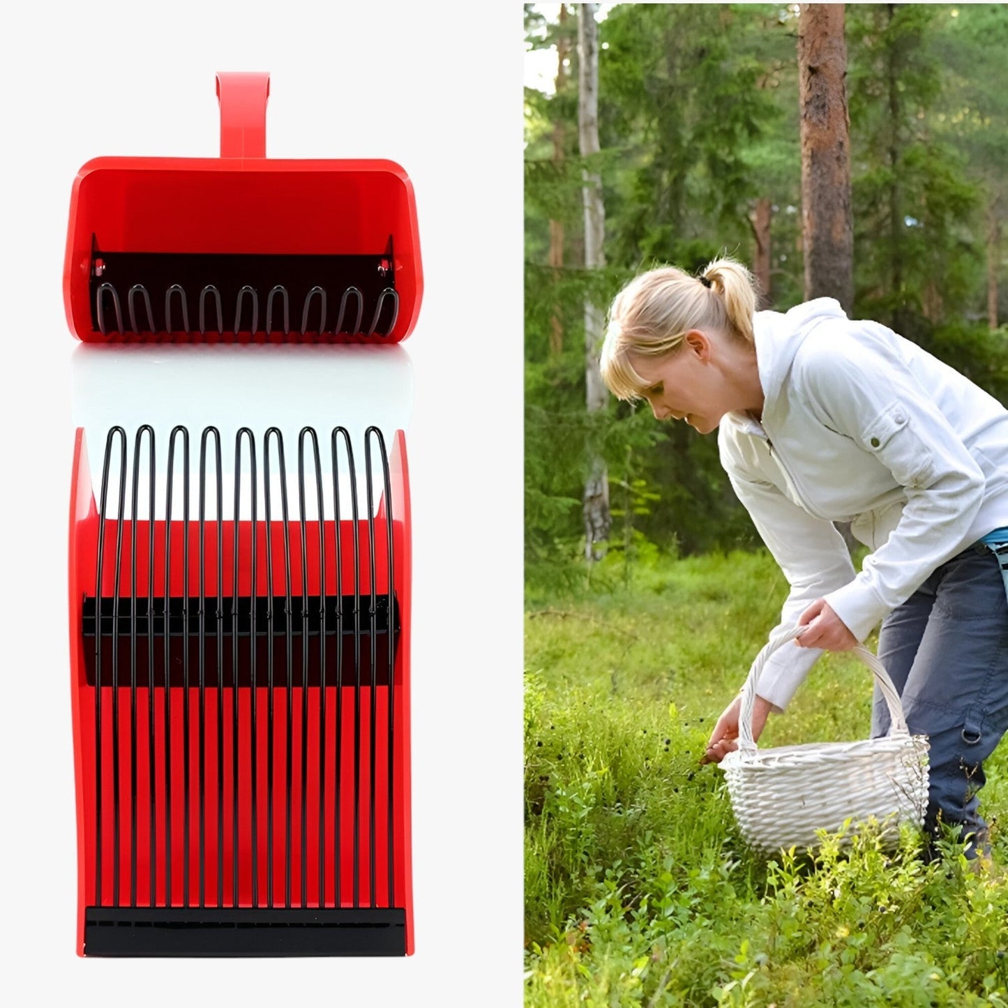 Tomir | Ergonomischer Beerenpflücker – Schnelles und einfaches Pflücken