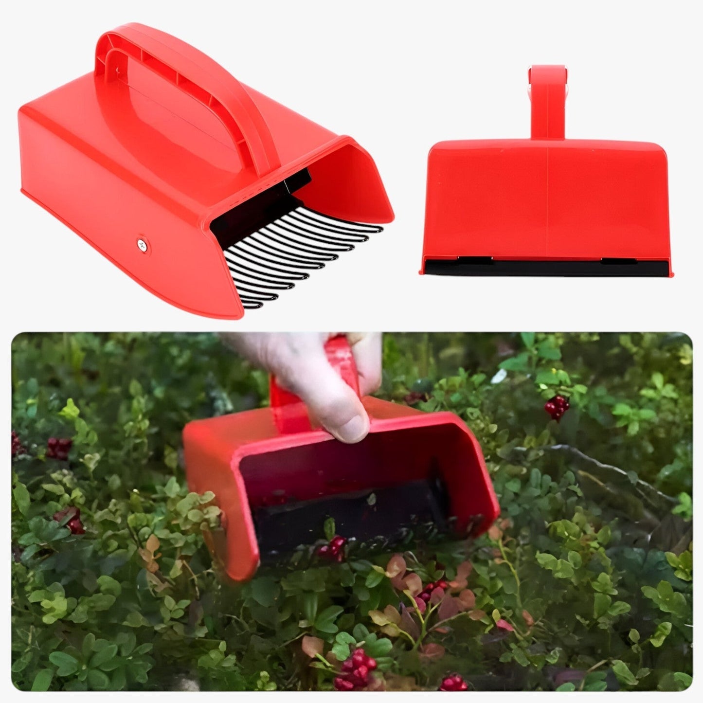 Tomir | Ergonomischer Beerenpflücker – Schnelles und einfaches Pflücken