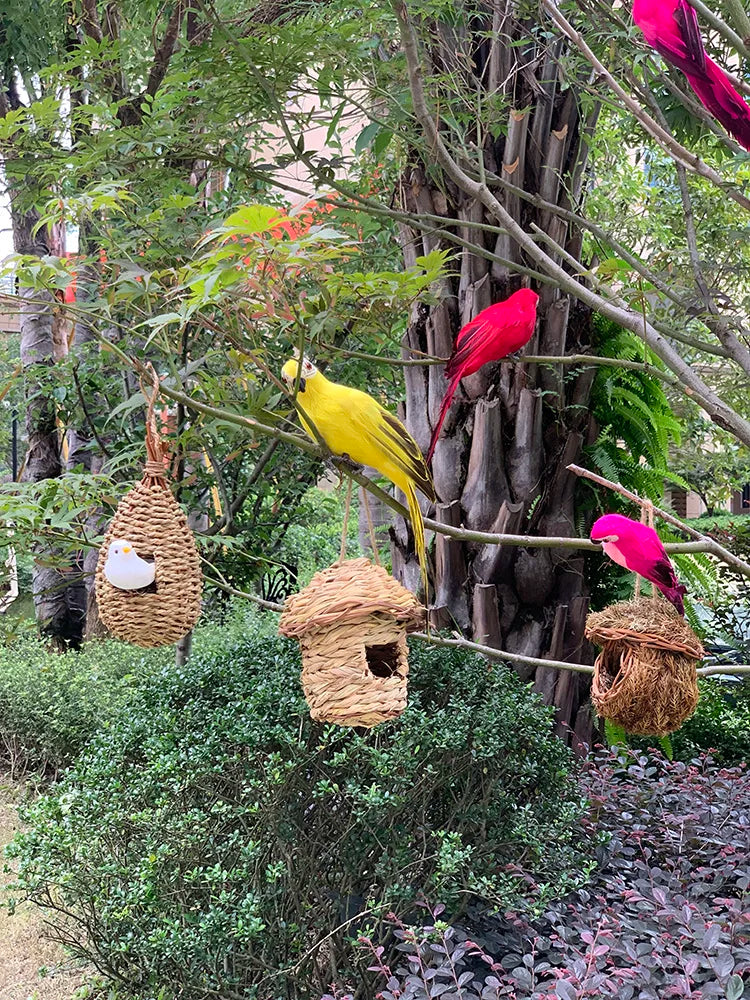 TropicPerch - Garten Dekoration Papagei
